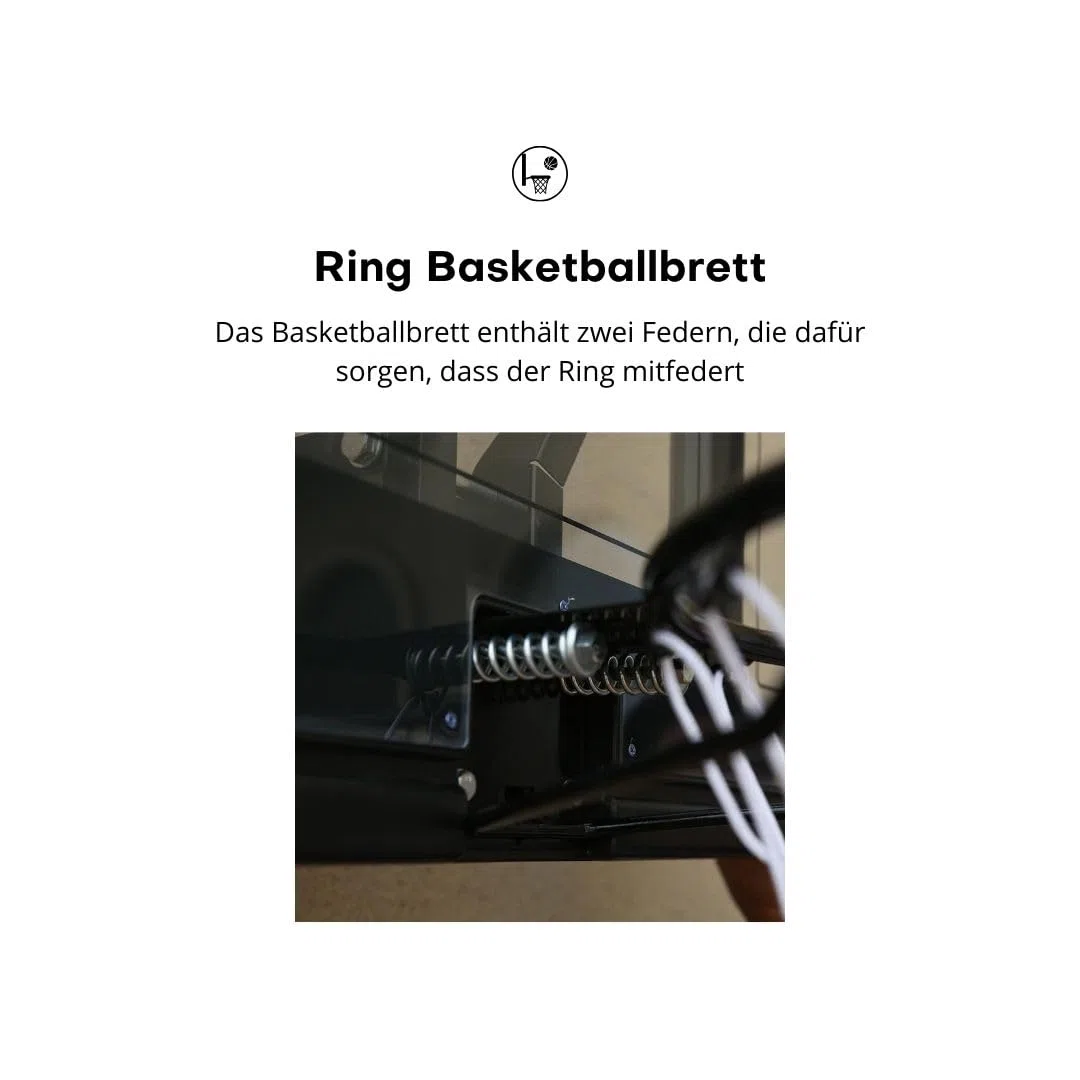 Pegasi Basketballbrett Classic 110x75cm