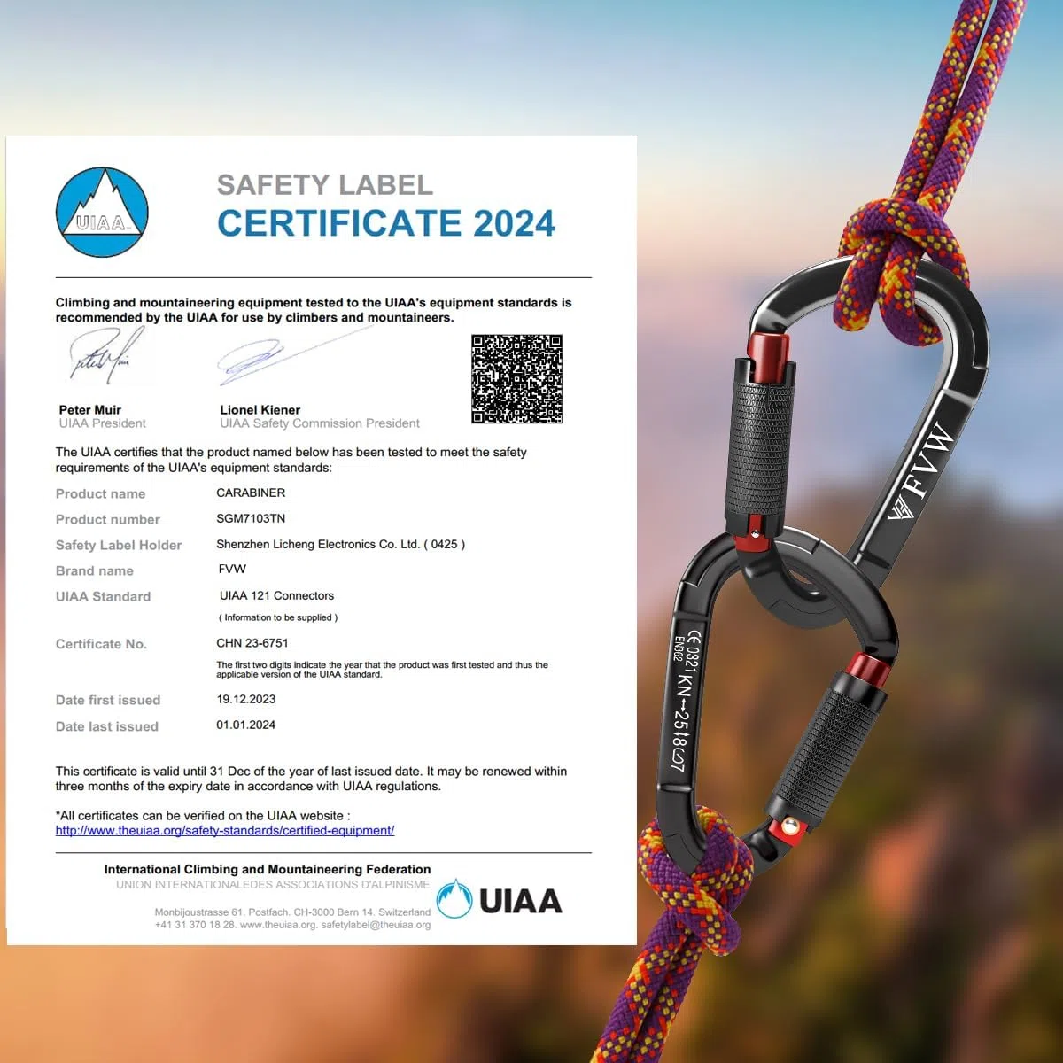 25KN Karabiner Klettern Kletterausrüstung,Locking Kletterkarabiner Clips für Hängematten, Schaukel, Locking Hundeleine und Geschirr, Camping, Wandern & Utility