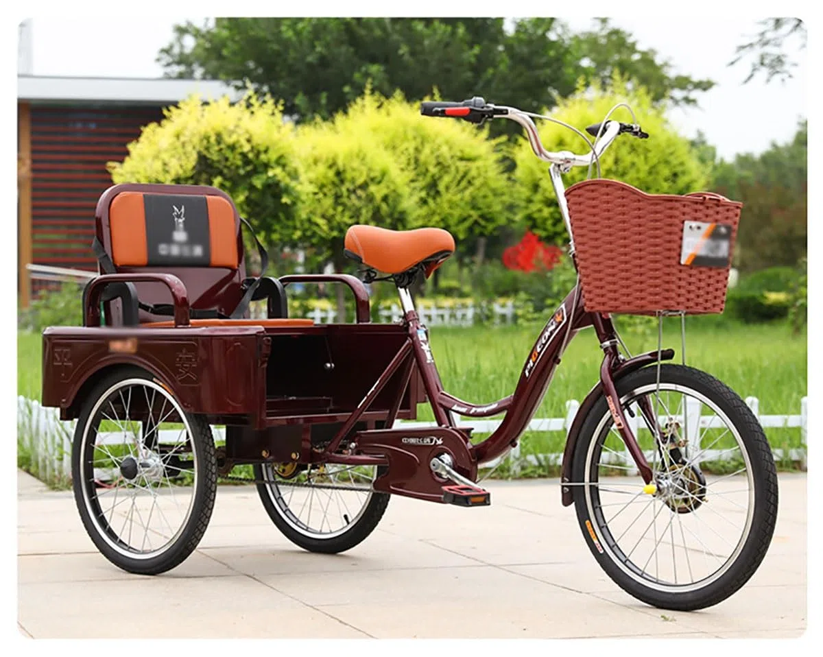 Dreirad Erwachsene Fahrrad für Transport von Passagieren und Ladung, 20-Zoll-Dreirad für Männer/Frauen/Senioren, höhenverstellbares Cruiser-Fahrrad für Radfahren/Ausflüge