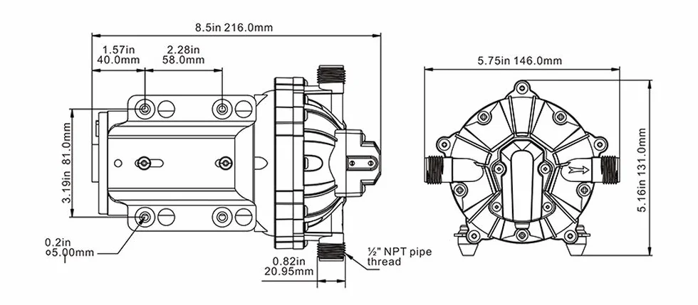 SEAFLO Membranpumpe der Serie 55 - 12V DC, 5,5 GPM, 60 PSI mit Hochleistungsdruckschalter