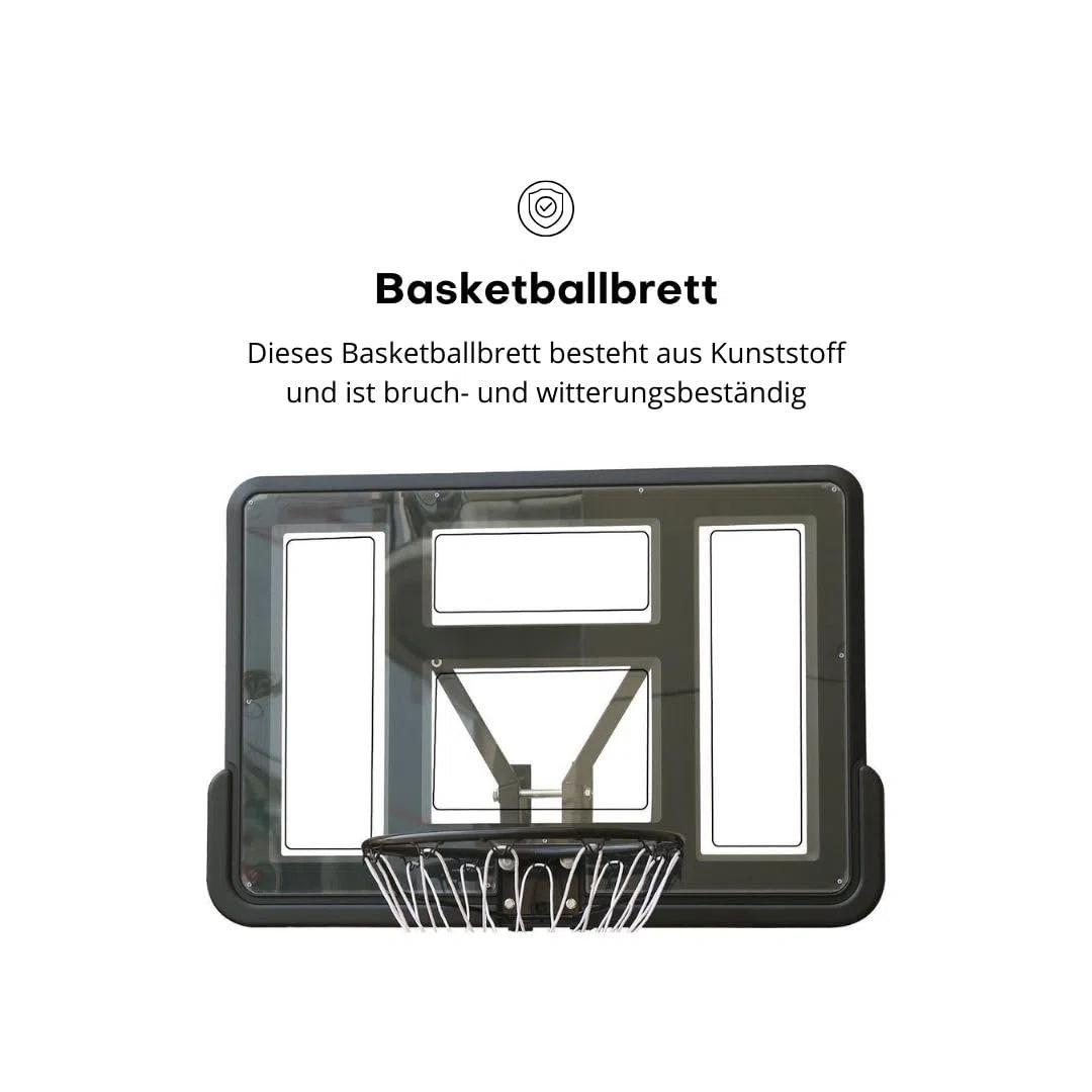 Pegasi Basketballbrett Classic 110x75cm
